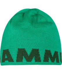 MAMMUT(マムート)/MAMMUT LOGO BEANIE/その他系5