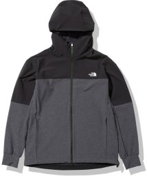 THE NORTH FACE(ザノースフェイス)/APEX FLEX HOODIE/その他系4