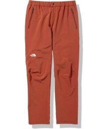 THE NORTH FACE(ザノースフェイス)/ALPINE PANT/その他