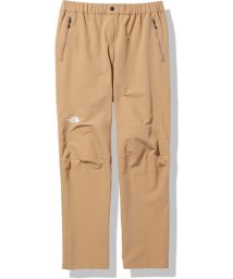 THE NORTH FACE(ザノースフェイス)/ALPINE PANT/その他系1