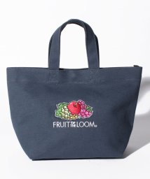 FRUIT OF THE LOOM(フルーツオブザルーム)/EMB LUNCH TOTE/ﾈｲﾋﾞｰ