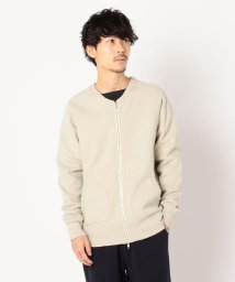 GLOSTER(GLOSTER)/ASTLAD ZIP スウェット カーディガン/グレイッシュベージュ