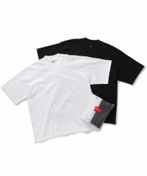 ADAM ET ROPE'(アダム　エ　ロペ)/【Hanes for BIOTOP】2P Mock－Neck T－Shirts/Unisex/ブラック系（02）