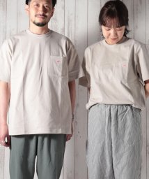 GLOSTER(GLOSTER)/【DANTON/ダントン】ポケットTシャツ #JD－9041/グレイッシュベージュ
