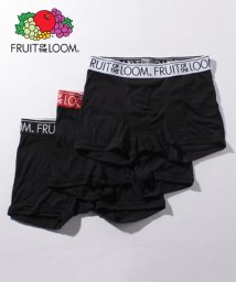 FRUIT OF THE LOOM/FRUIT OF THE LOOM TCフライスボクサーパンツ 3枚セット 父の日 プレゼント ギフト/503756397