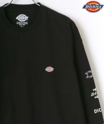 LAZAR(ラザル)/【Lazar】Dickies/ディッキーズ 【別注】 ビッグシルエット 袖プリント ロゴ ワンポイント ロングスリーブTシャツ/ブラック