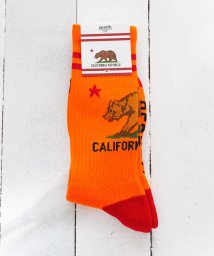 ar/mg/【EX】【EX002】【ZENITH】CALIFORNIA GRIZZLY SOCKS/503799194