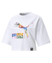 PUMA(プーマ)/PUMA INTERNATIONAL グラフィック Tシャツ ウィメンズ/PUMAWHITE-MULTI