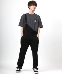 SITRY(SITRY)/【SITRY】denim Overalls/デニム オーバーオール レディース メンズ デニムパンツ サロペット/ブラック