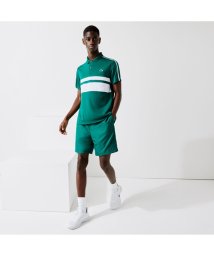 LACOSTESPORTS MENS(ラコステスポーツ　メンズ)/パネルボーダーテニスポロシャツ/グリーン