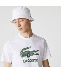 LACOSTE Mens(ラコステ　メンズ)/クラックワニロゴTシャツ/ホワイト