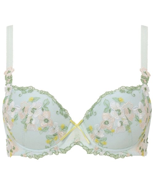 セール トリンププレミアム レッドレーベル0074 ブラジャー B F トリンプ Triumph Magaseek