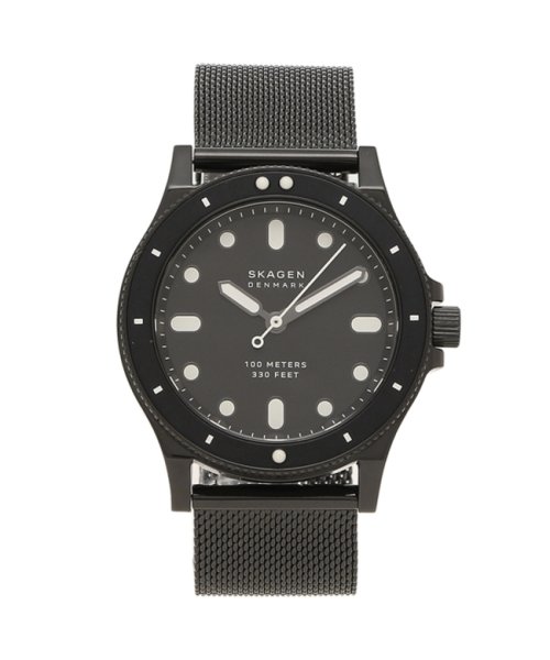 SKAGEN(スカーゲン)/スカーゲン 腕時計 レディース FISK 38MM メッシュ SKAGEN SKW2917 ブラック/その他