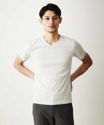 MICHEL KLEIN HOMME(ミッシェルクランオム)/カットソー（オーガニックコットン）/ライトグレー（91）