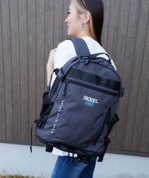 Dickies(Dickies)/USA EMB BACKPACK/ﾁｬｺｰﾙ