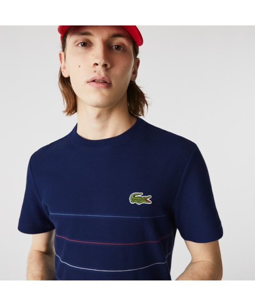 セール 切り替えピンボーダーオーガニックコットンtシャツ ラコステ メンズ Lacoste Mens Magaseek