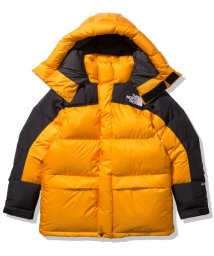 THE NORTH FACE(ザノースフェイス)/HIM DOWN PARKA/その他