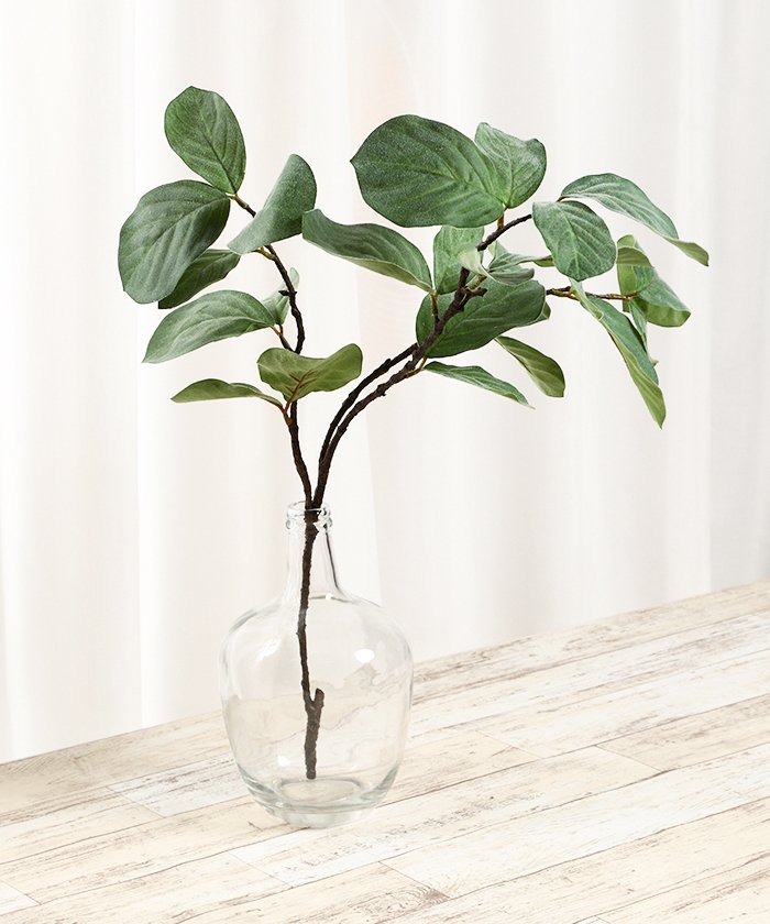 ベンガレンシス フェイクインテリアグリーン 観葉植物 瓶付き アーティフィシャルフラワー 高級造花 お手入れ簡単 プアラニ Pualani Magaseek ベンガレンシス フェイクインテリアグリーン 観葉植物 瓶付き アーティフィシャルフラワー 高級造花 お手入れ簡単 プアラニ Pualani Magaseek