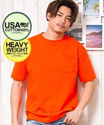 CavariA/CavariA USAビッグシルエットクルーネック半袖無地Tシャツ メンズ 半袖 大きいサイズ 無地 USAコットン トップス カットソー シンプル ヘビーウェ/500881296