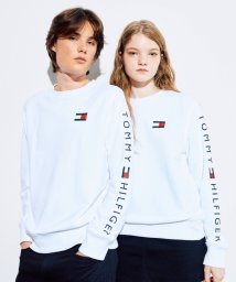 TOMMY HILFIGER/【オンライン限定】フレンチテリー ロゴ ロングスリーブスウェット/503940369