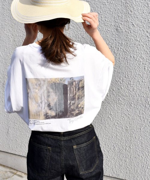 SHIPS WOMEN(シップス　ウィメン)/《一部追加予約》* オーガニックコットン フォト ショート スリーブ TEE 24SS ◆/ホワイト系