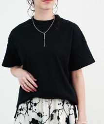 Fizz(フィズ)/【2021新作】スムースタッチハイネックTシャツ　mitis SS/ブラック