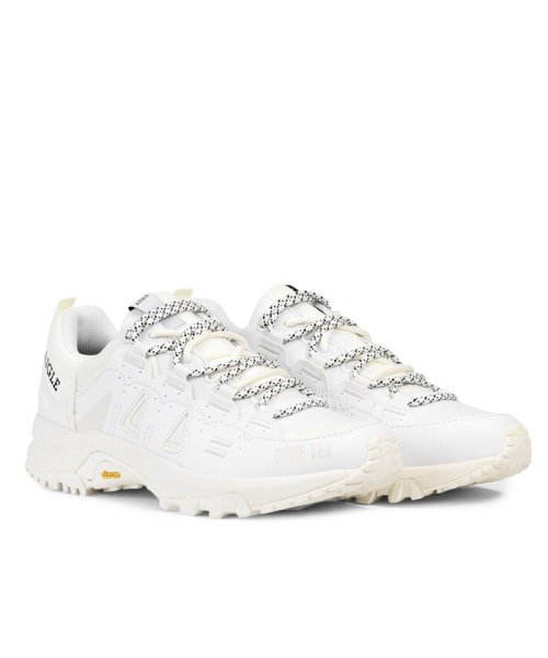 ゴアテックス パリオット スニーカー エーグル メンズ ａｉｇｌｅ Men Magaseek