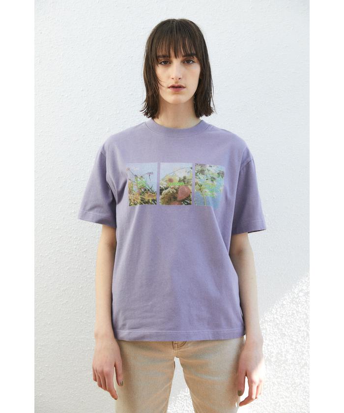 セール】FLOWERS PICTURE Tシャツ(503980509) | マウジー(moussy