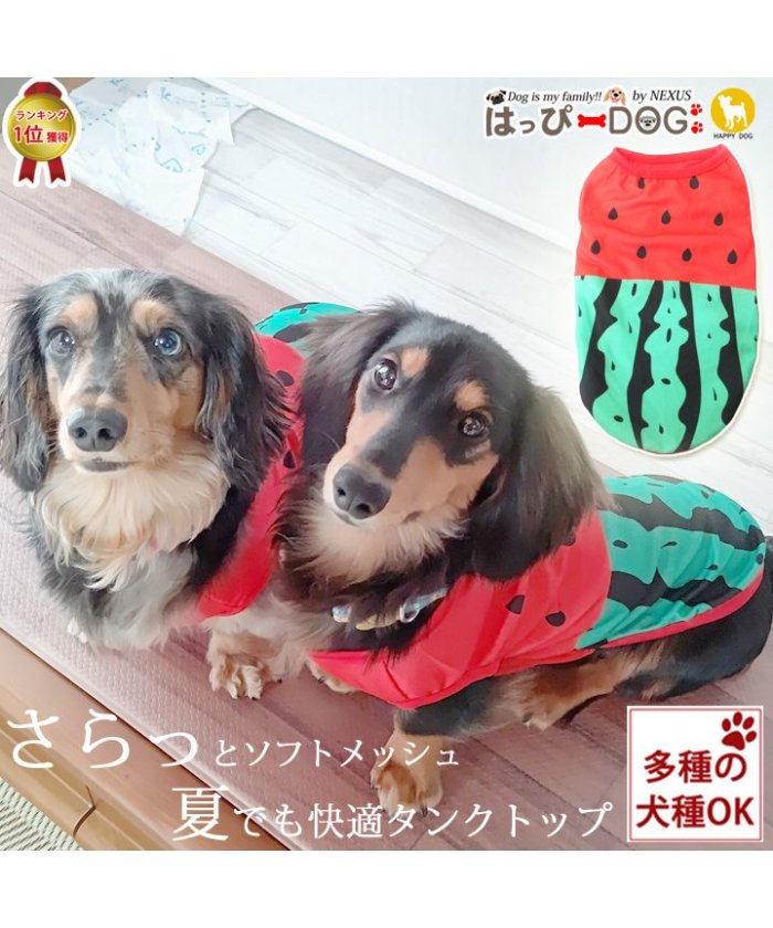 おしゃれ メッシュ 犬用ペット服の人気商品 通販 価格比較 価格 Com おしゃれ メッシュ 犬用ペット服の人気商品 通販 価格比較 価格 Com
