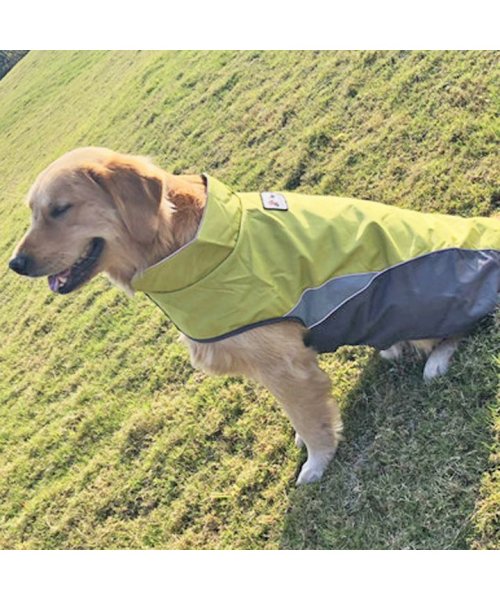 HAPPY DOG!!(はっぴーDOG！！)/犬のカッパ 犬 服 犬服 犬の服 アウター レインコート 着せやすい ドッグウェア カッパ マジックテープ 雨具 ポンチョ  【おしゃれ 可愛い トイプードル /グリーン