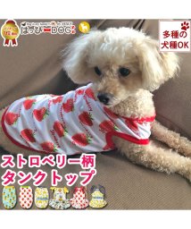 HAPPY DOG!!/ 犬 服 犬服 犬の服 タンクトップ キャミソール フルーツ ドッグウェア メッシュ【春 夏 春夏 毛抜け防止 毛落ち防止 おしゃれ 可愛い 女の子 男の子 ト/504009339