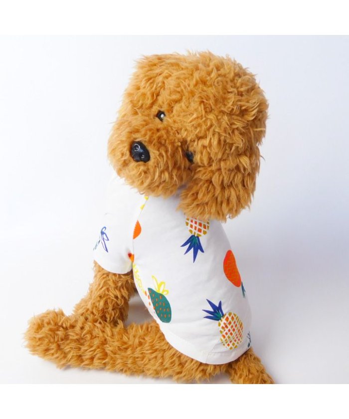 セール 10 Off 犬 服 犬服 ドッグウェア フルーツ柄 Tシャツ アロハ 春 夏 春夏 毛抜け防止 毛落ち防止 おしゃれ 可愛い 女の子 男の子 トイプードル チワワ 洋服 はっぴーdog Happy Dog Magaseek セール 10 Off 犬 服 犬服 ドッグウェア フルーツ柄 Tシャツ アロハ 春 夏 春夏 毛抜け防止 毛落ち防止 おしゃれ 可愛い 女の子 男の子 トイプードル チワワ 洋服 はっぴーdog Happy Dog Magaseek
