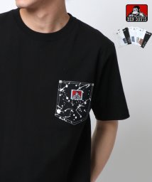 MARUKAWA(マルカワ)/【BEN DAVIS】ベンデイビス Tシャツ 無地 半袖 柄 ポケット 付き ティーシャツ ポケットTシャツ ポケットT ポケT ストリート アメカジ カジュア/柄6