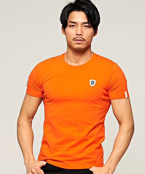 VIOLA(ヴィオラ)/VIOLA バックメタリックプリント入りストレッチクルーネック半袖Tシャツ メンズ トップス メタリックプリント ストレッチ 伸縮性 【C】/オレンジ