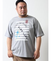 GRAND-BACK(グランバック)/【大きいサイズ】シナコバ/SINA COVA プリント クルーネック半袖Tシャツ/グレー