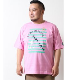 GRAND-BACK(グランバック)/【大きいサイズ】シナコバ/SINA COVA プリント クルーネック半袖Tシャツ/ピンク