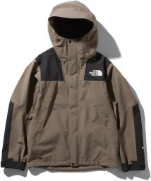 THE NORTH FACE(ザノースフェイス)/MOUNTAIN JACKET/ブラウン