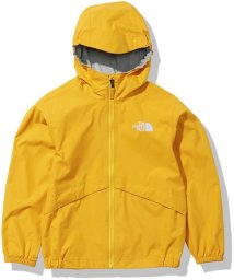 THE NORTH FACE(ザノースフェイス)/RAINTEX EUREKA/その他