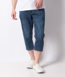 JEANS MATE(ジーンズメイト)/【BLUESTANDARD】接触冷感　デニムクロップドパンツ　COOLMAX/アンティークウォッシュ