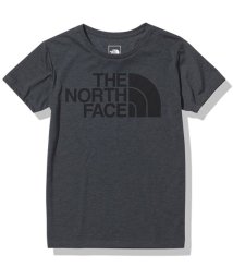 THE NORTH FACE(ザノースフェイス)/S/S CH LOGO T/ブラウン