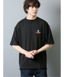 TAKA-Q/【WEB限定】TOMOWAKA×AIRWALK 天竺クルーネック半袖Tシャツ/504040990