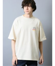 TAKA-Q/【WEB限定】TOMOWAKA×AIRWALK 天竺クルーネック半袖Tシャツ/504040990