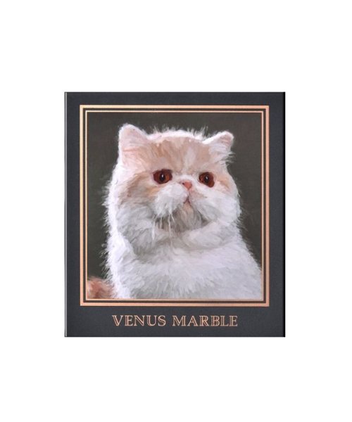 ヴィーナスマーブル アイシャドウキャットシリーズ エキゾチックショートヘア ヴィーナスマーブル Venus Marble Magaseek