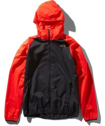 THE NORTH FACE(ザノースフェイス)/SWALLOWTAIL VT HD/その他系2