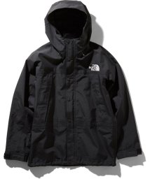 THE NORTH FACE(ザノースフェイス)/MOUNTAIN LIGHT JK/ブラック