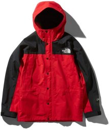 THE NORTH FACE(ザノースフェイス)/MOUNTAIN LIGHT JK/その他系8