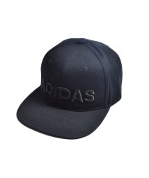 Adidas(アディダス)/adidas SPLINEA SB CAP/ブラック