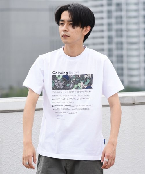 セール Ships別注 Nowartt オーガニックコットン プリント Tシャツ シップス メン Ships Men Magaseek