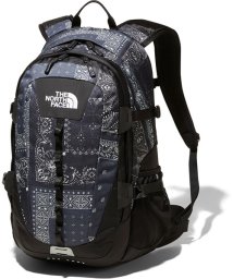 THE NORTH FACE(ザノースフェイス)/HOT SHOT CL/その他