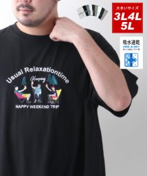 MARUKAWA(大きいサイズのマルカワ)/【BEAUMERE】ボーメール Tシャツ 大きいサイズ ロゴ デザイン ビッグ シルエット 吸水速乾 半袖 ティーシャツ 速乾 ドライ BIG アメカジ カジュ/柄5